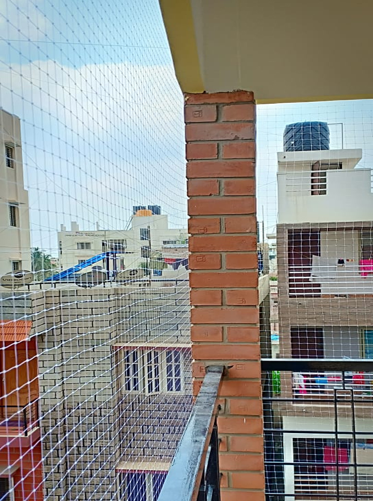 Cricket Practice Nets In Bangalore