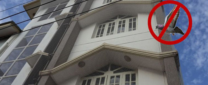 Pigeon safety nets in Bangalore